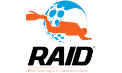 Raid logo