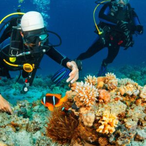 SDI Advanced Diver eLearning