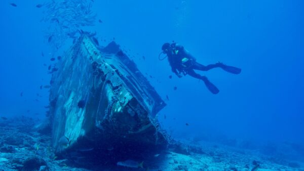 Raid Wreck Diver eLearning